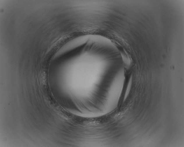 X0000073460689200608251732