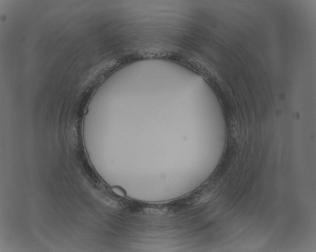 X0000073460690200608251732