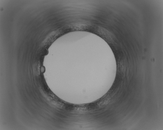 X0000073460694200608251732