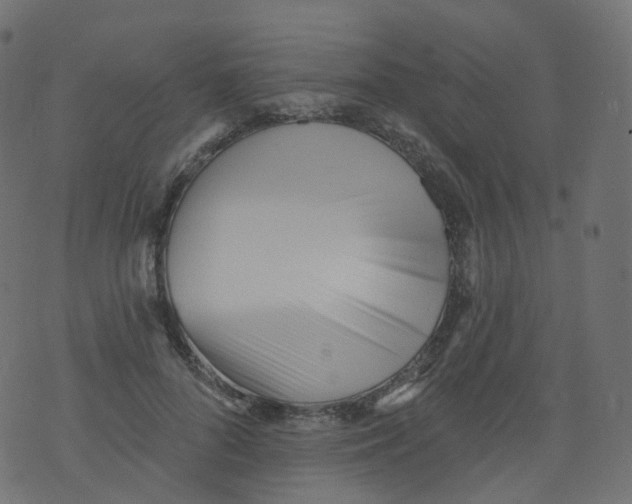 X0000073460696200608251732