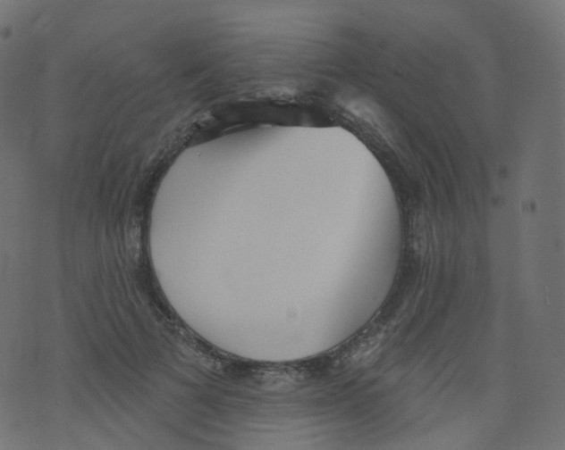 X0000073460697200608251732