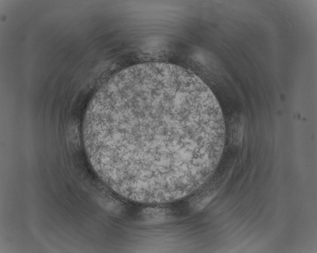 X0000073460699200608251732