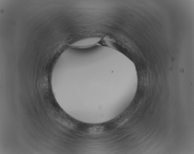 X0000073460700200608251732