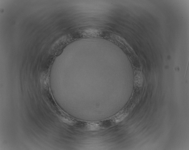 X0000073460701200608251732