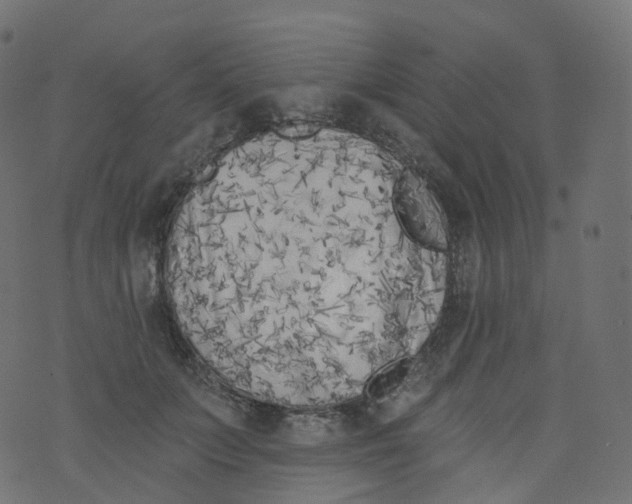 X0000073460703200608251732