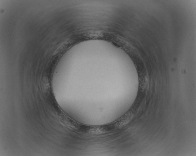 X0000073460704200608251732