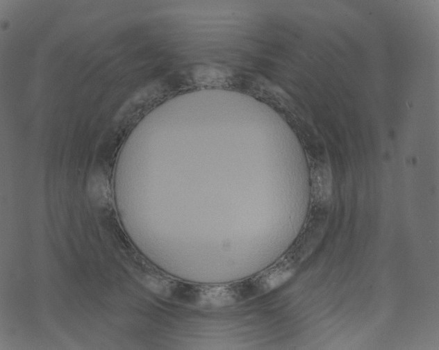 X0000073460705200608251732