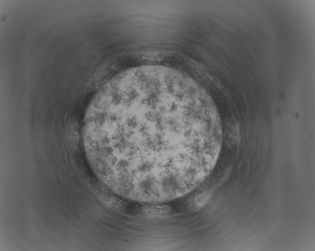 X0000073460707200608251732