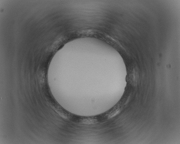 X0000073460708200608251732