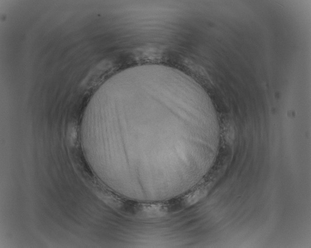 X0000073460709200608251732