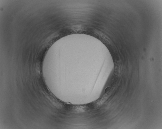 X0000073460710200608251732