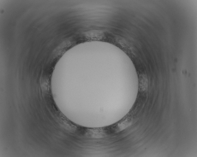 X0000073460713200608251732