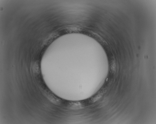 X0000073460715200608251732