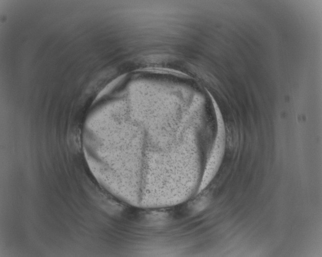 X0000073460718200608251732