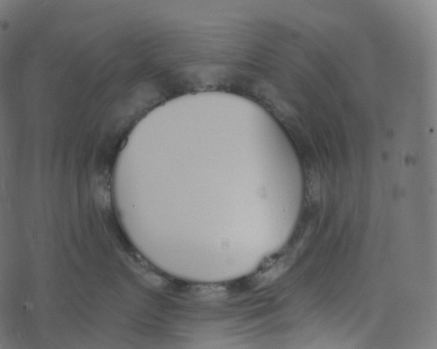 X0000073460719200608251732