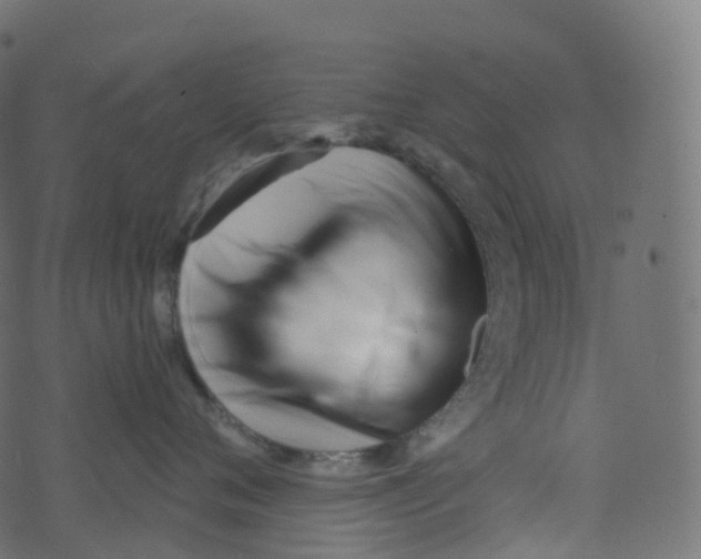 X0000073460720200608251732