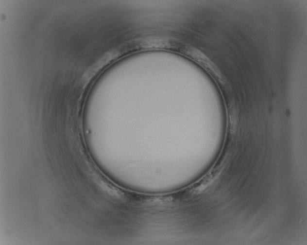 X0000073460721200608251731