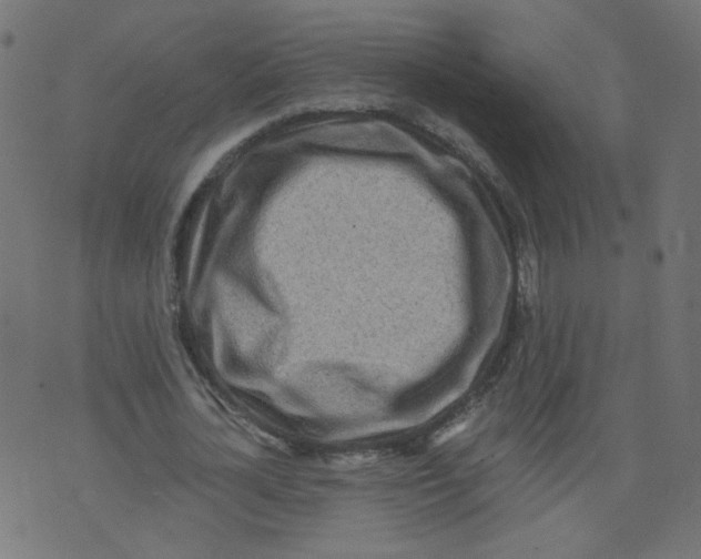 X0000073460724200608251731