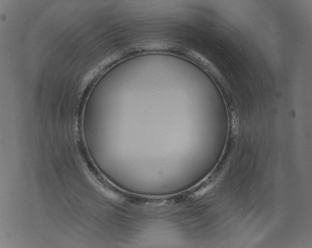 X0000073460725200608251731