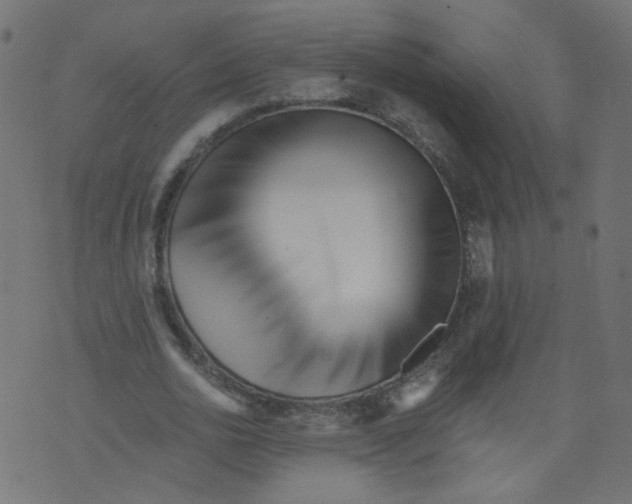 X0000073460726200608251731