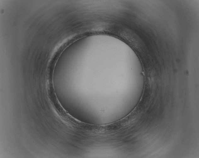 X0000073460728200608251731