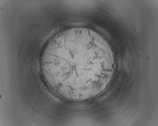 X0000073460729200608251731