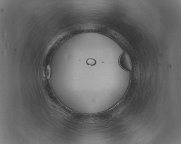 X0000073460731200608251731