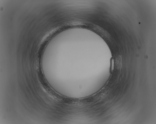 X0000073460732200608251731