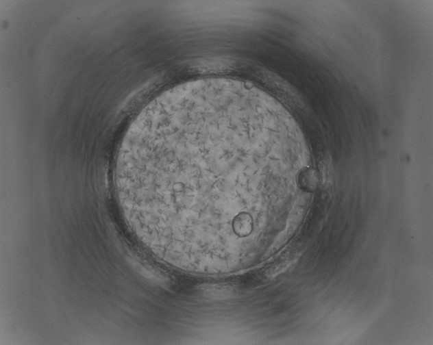 X0000073460733200608251731