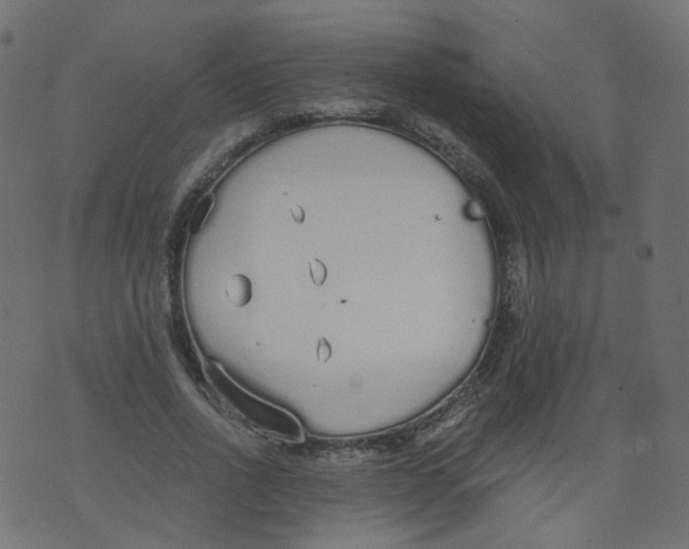 X0000073460734200608251731