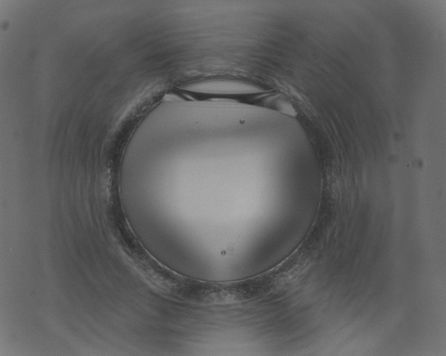 X0000073460735200608251731