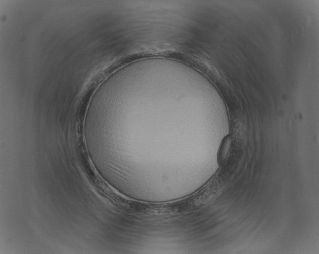 X0000073460736200608251731