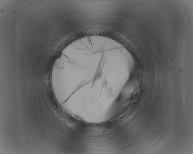 X0000073460737200608251731