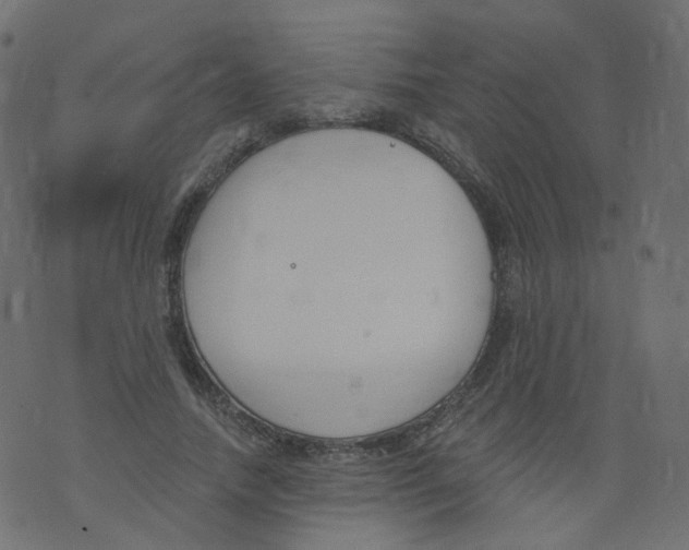 X0000073460738200608251731