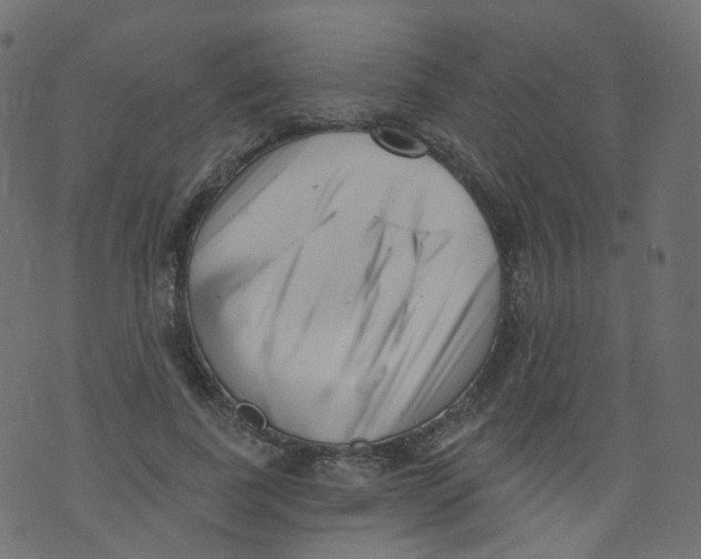 X0000073460739200608251731