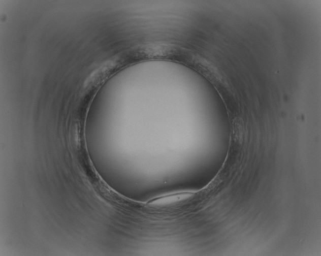 X0000073460740200608251731