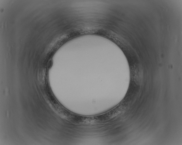 X0000073460742200608251731