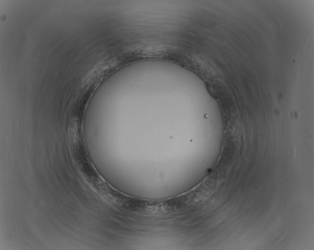 X0000073460744200608251731