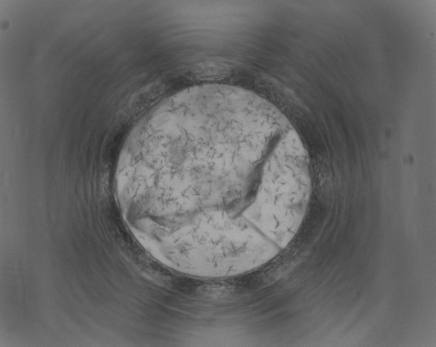 X0000073460745200608251731