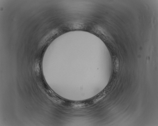 X0000073460746200608251731