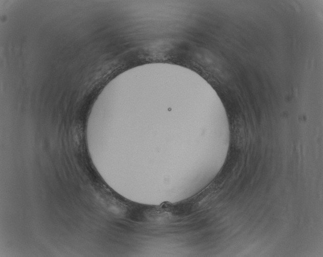 X0000073460747200608251731