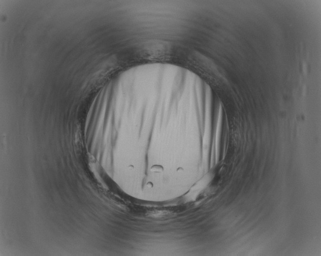 X0000073460748200608251731