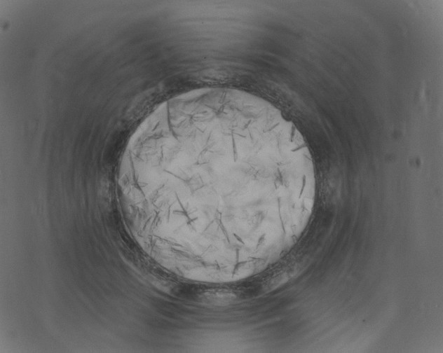 X0000073460749200608251731