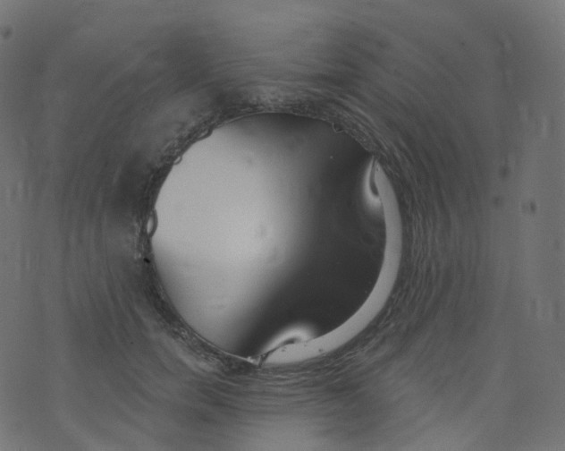 X0000073460750200608251731