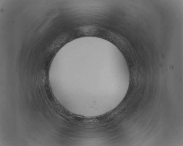 X0000073460752200608251731