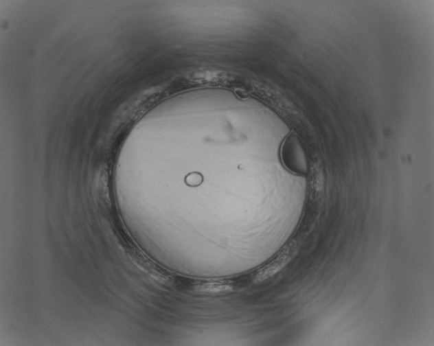 X0000073460754200608251731