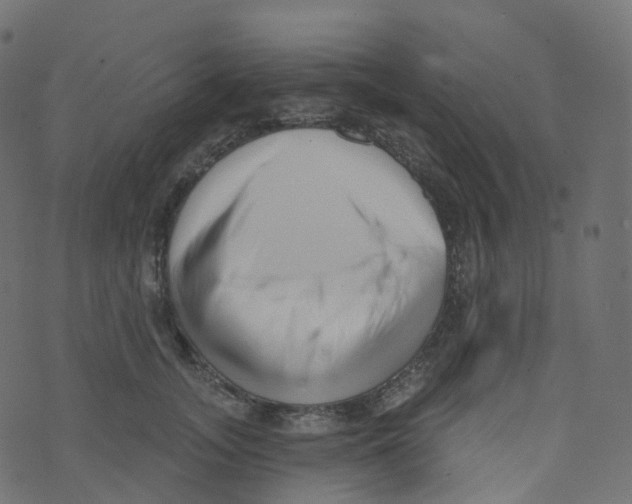 X0000073460755200608251731