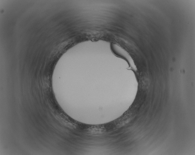 X0000073460756200608251731