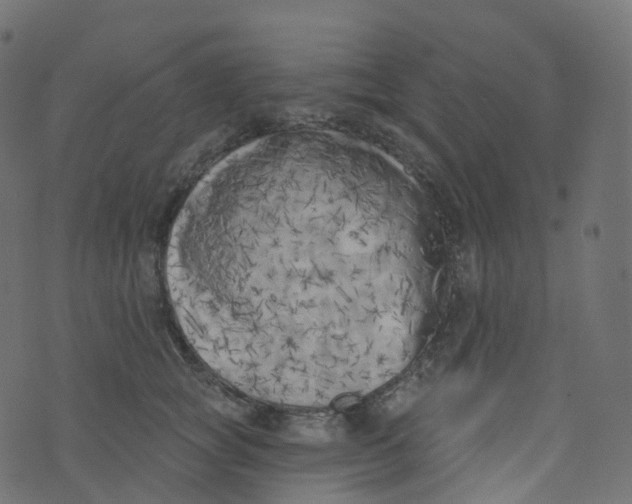 X0000073460757200608251731