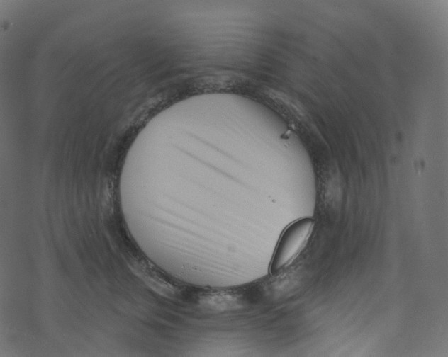 X0000073460759200608251731